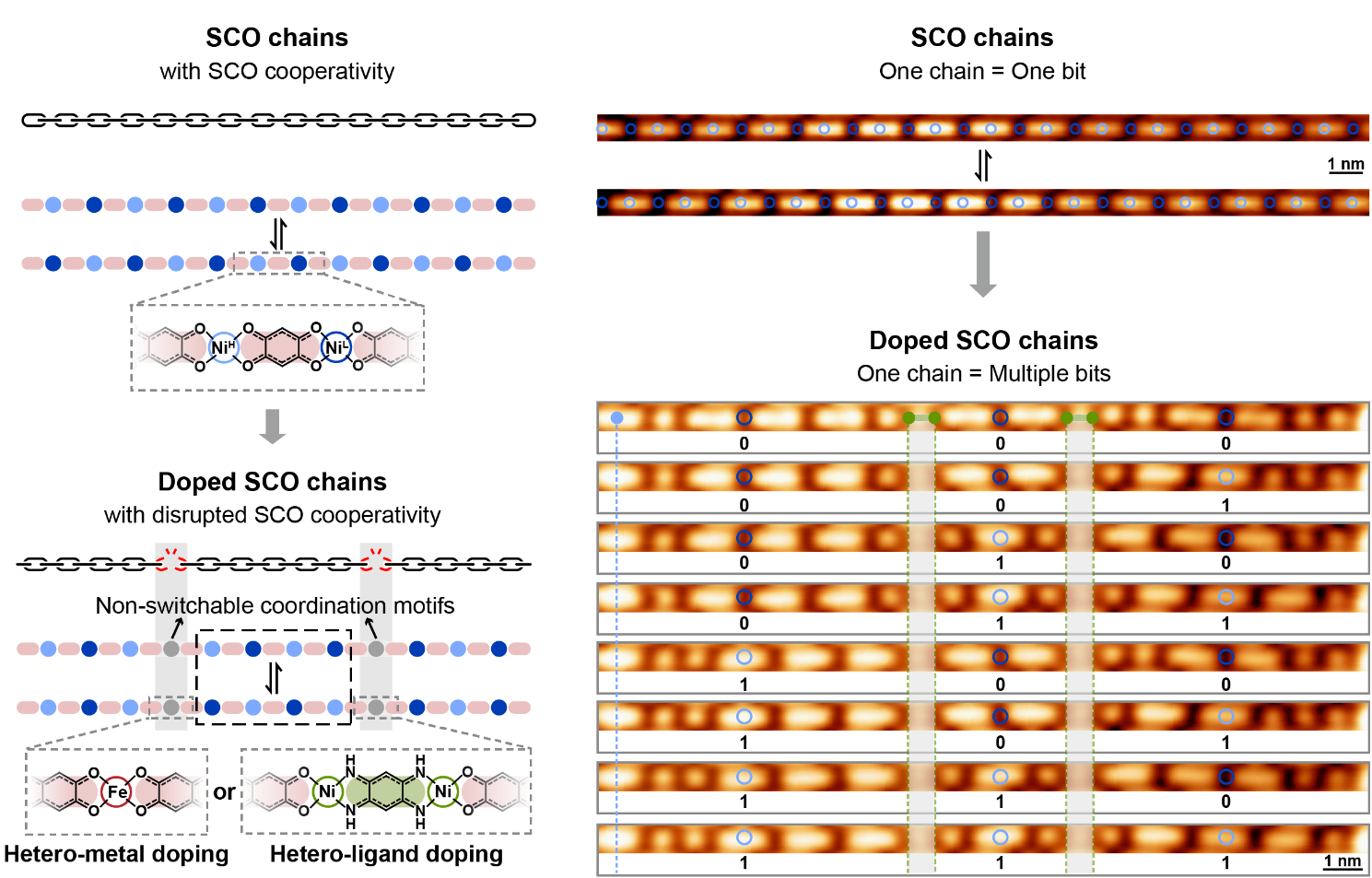 Sequence-Controlled Copolymers